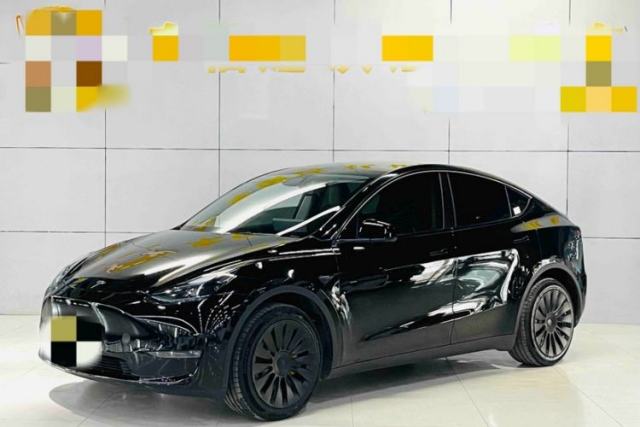 Used Tesla Model Y 2024 Long-Range All-Wheel-Drive Version