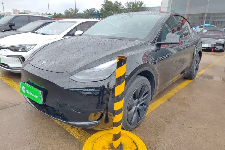 Tesla Model Y 2024 Rear-Wheel-Drive Version