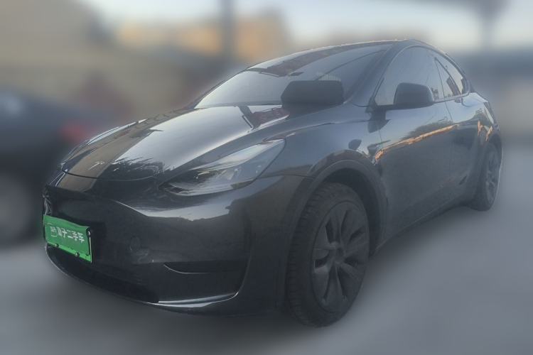 Tesla Model Y 2024 Rear-Wheel-Drive Version