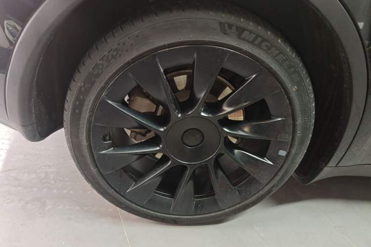 Used Tesla Model Y 2024 Rear-Wheel-Drive Version Exterior 5