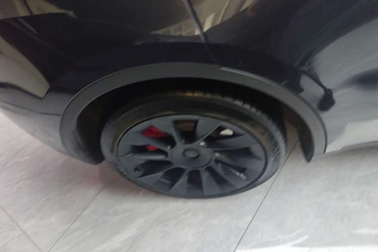 Used Tesla Model Y 2024 Rear-Wheel-Drive Version Exterior 5