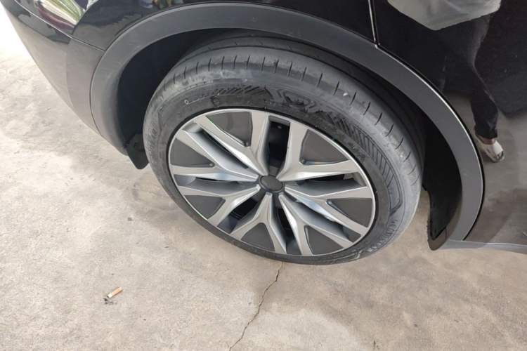 Used Tesla Model Y 2024 Rear-Wheel-Drive Version Exterior 5