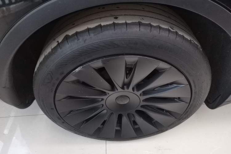 Used Tesla Model Y 2024 Rear-Wheel-Drive Version Exterior 5