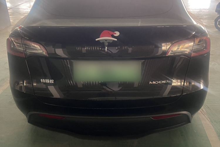 Used Tesla Model Y 2024 Rear-Wheel-Drive Version Exterior 5