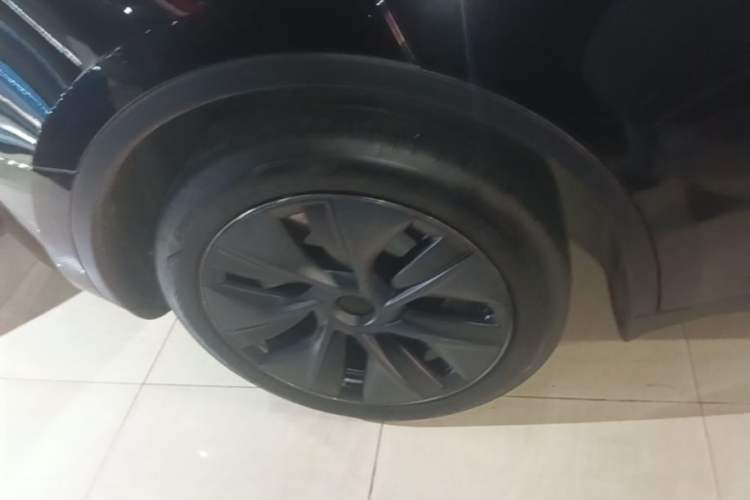 Used Tesla Model Y 2024 Rear-Wheel-Drive Version Exterior 5
