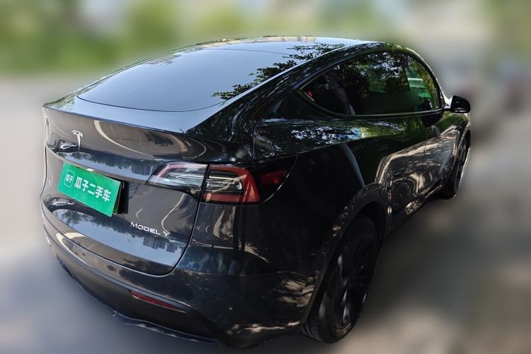 Used Tesla Model Y 2024 Long-Range All-Wheel-Drive Version Exterior 5
