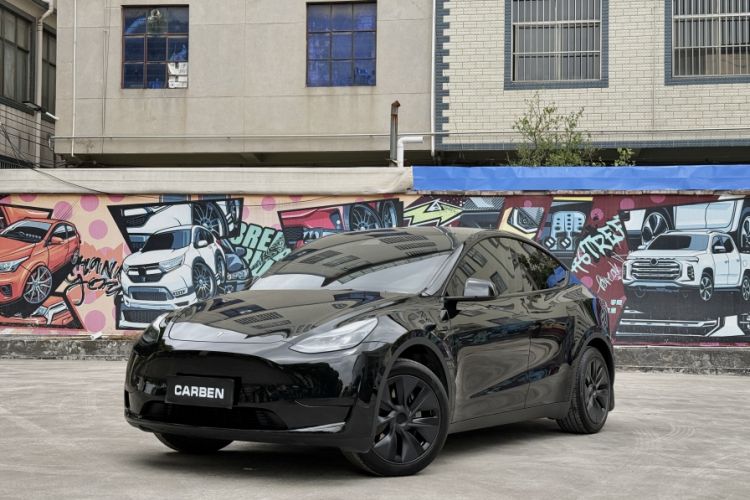 Used Tesla Model Y 2024 Rear-Wheel-Drive Version Exterior 6