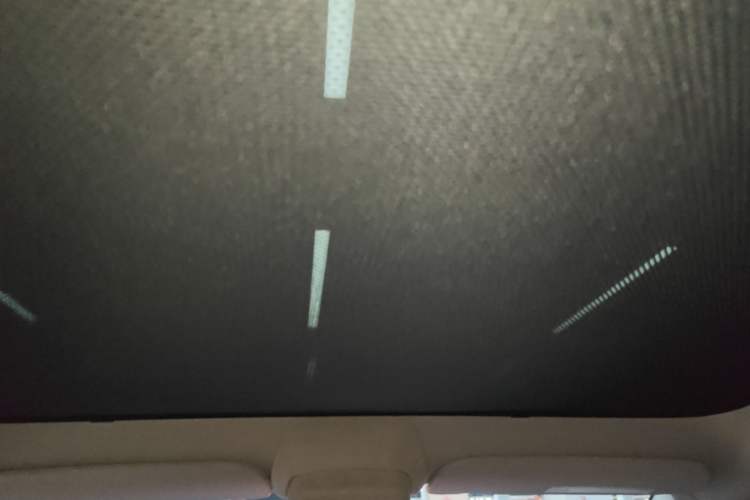 Used Tesla Model Y 2024 Rear-Wheel-Drive Version Headliner