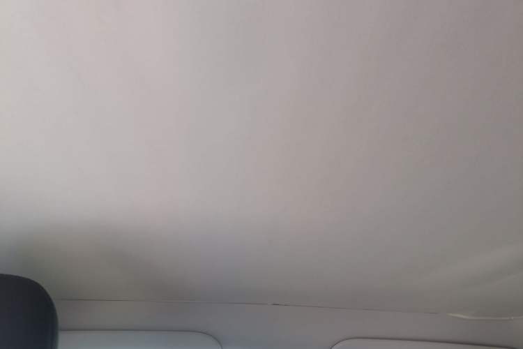 Used Tesla Model Y 2024 Rear-Wheel-Drive Version Headliner