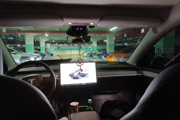 Used Tesla Model Y 2024 Rear-Wheel-Drive Version Headliner
