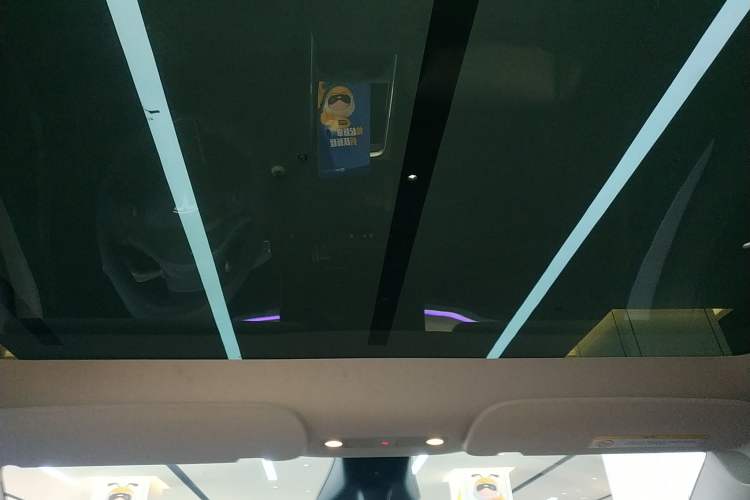 Used Tesla Model Y 2024 Rear-Wheel-Drive Version Headliner