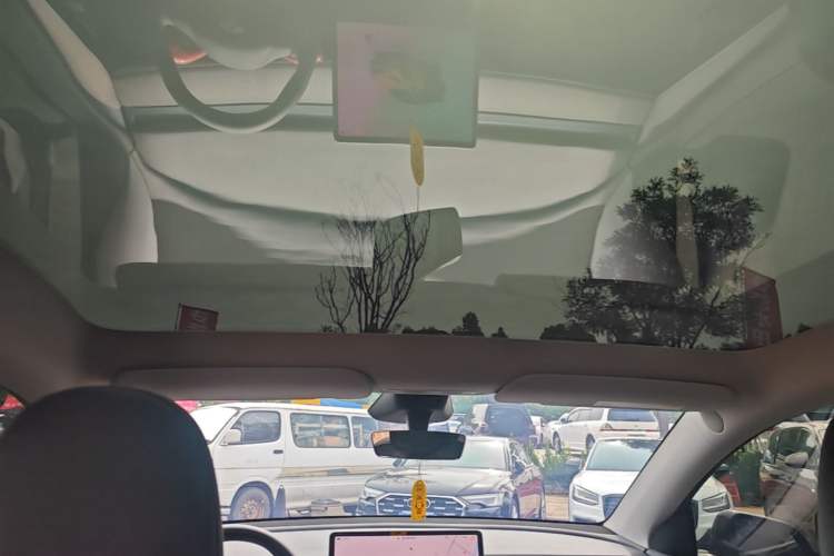 Used Tesla Model Y 2024 Rear-Wheel-Drive Version Headliner