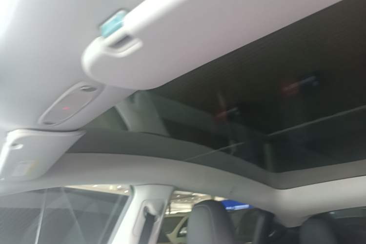 Used Tesla Model Y 2024 Rear-Wheel-Drive Version Headliner