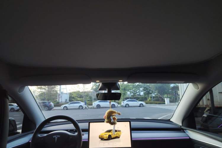 Used Tesla Model Y 2024 Performance High-Performance Edition Headliner