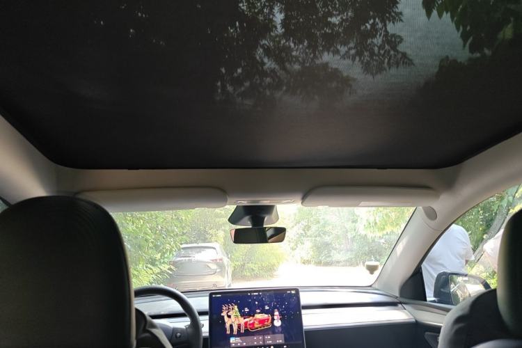 Used Tesla Model Y 2024 Rear-Wheel-Drive Version Headliner