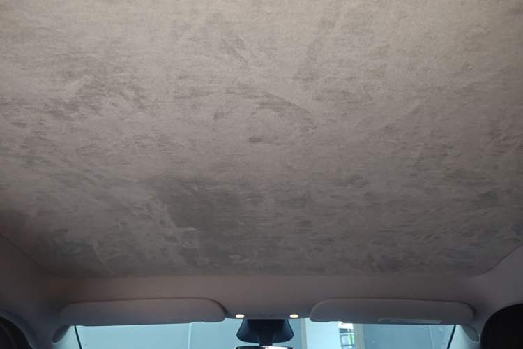 Used Tesla Model Y 2024 Rear-Wheel-Drive Version Headliner