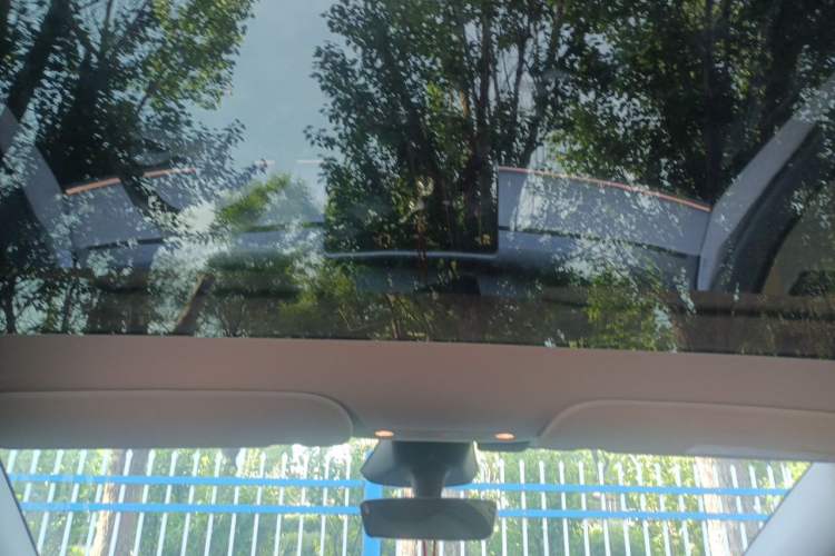 Used Tesla Model Y 2024 Rear-Wheel-Drive Version Headliner
