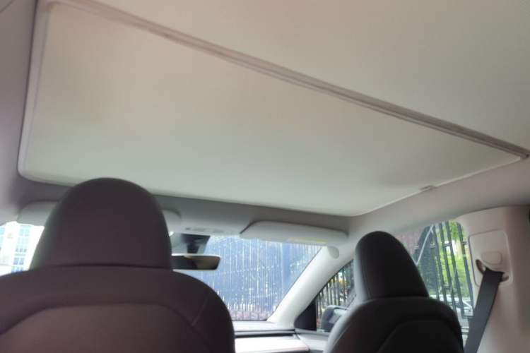 Used Tesla Model Y 2024 Rear-Wheel-Drive Version Headliner