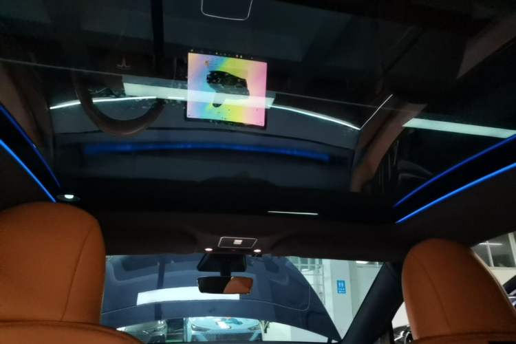 Used Tesla Model Y 2024 Rear-Wheel-Drive Version Headliner