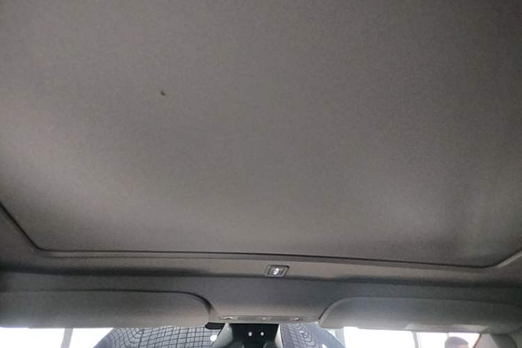 Used Tesla Model Y 2024 Rear-Wheel-Drive Version Headliner