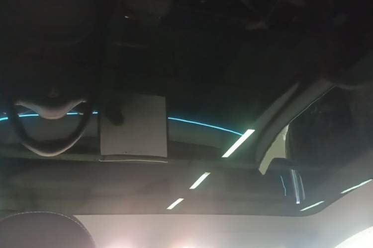 Used Tesla Model Y 2024 Rear-Wheel-Drive Version Headliner