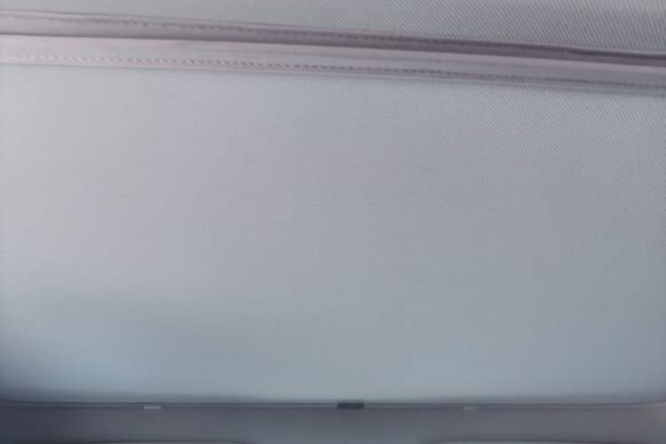 Used Tesla Model Y 2024 Rear-Wheel-Drive Version Headliner