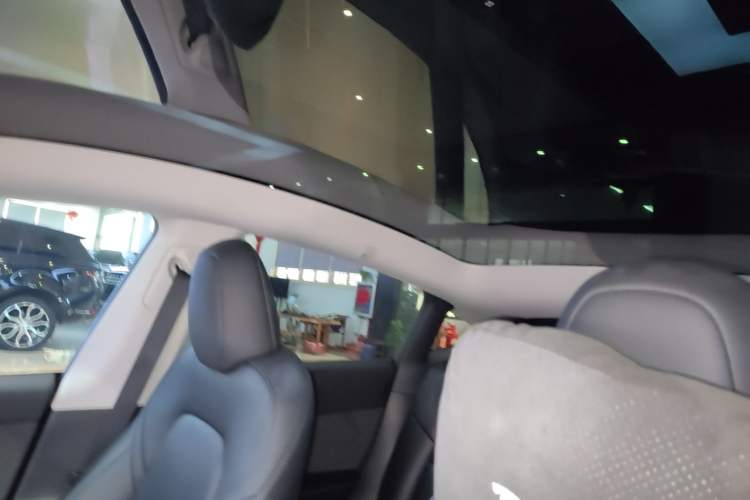 Used Tesla Model Y 2024 Rear-Wheel-Drive Version Headliner