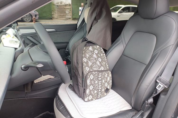 Used Tesla Model Y 2024 Rear-Wheel-Drive Version Left Front Seat