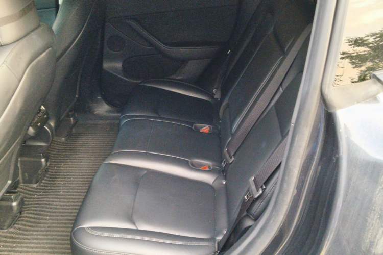 Used Tesla Model Y 2024 Rear-Wheel-Drive Version Left Rear Seat