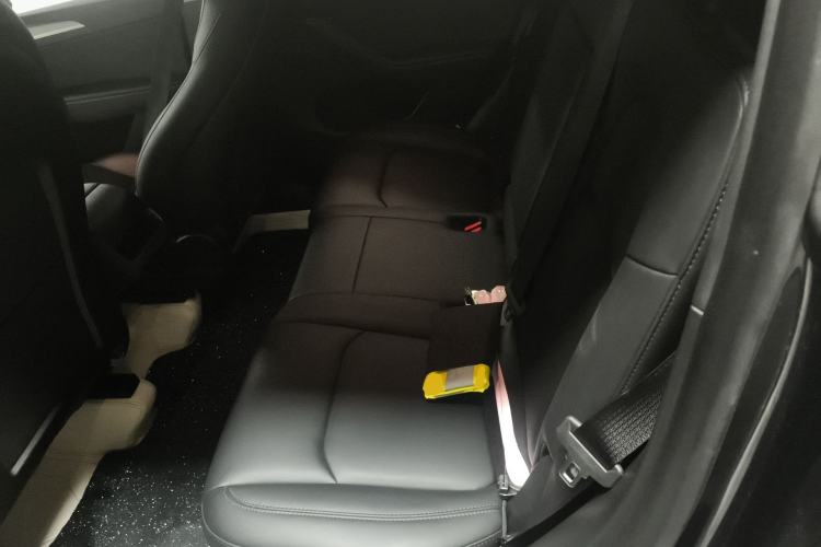 Used Tesla Model Y 2024 Rear-Wheel-Drive Version Left Rear Seat