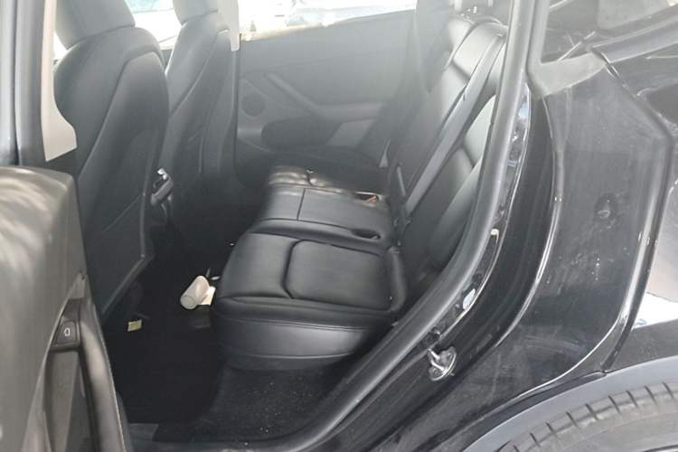 Used Tesla Model Y 2024 Rear-Wheel-Drive Version Left Rear Seat