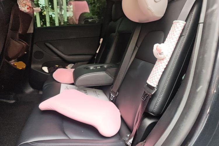 Used Tesla Model Y 2024 Rear-Wheel-Drive Version Left Rear Seat
