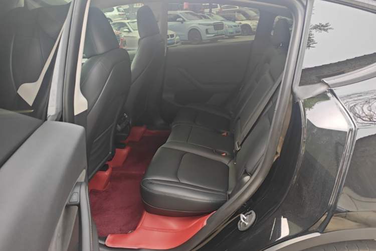 Used Tesla Model Y 2024 Rear-Wheel-Drive Version Left Rear Seat