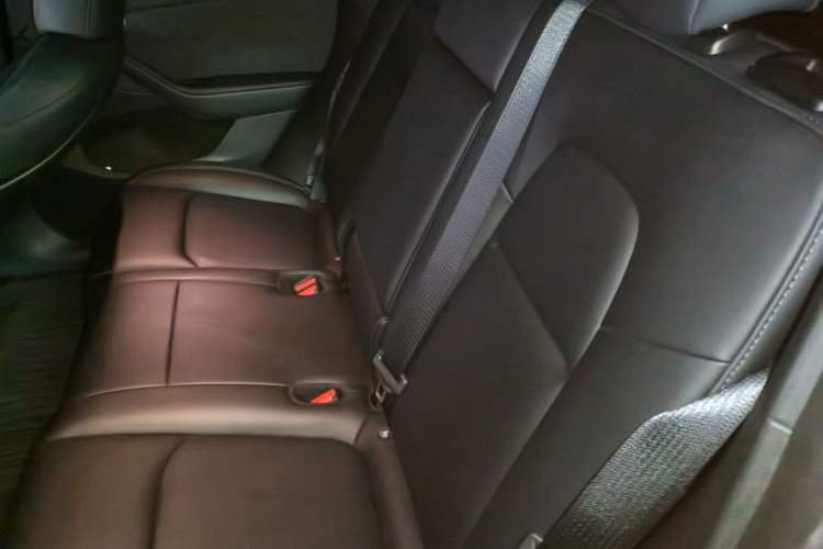 Used Tesla Model Y 2024 Long-Range All-Wheel-Drive Version Left Rear Seat