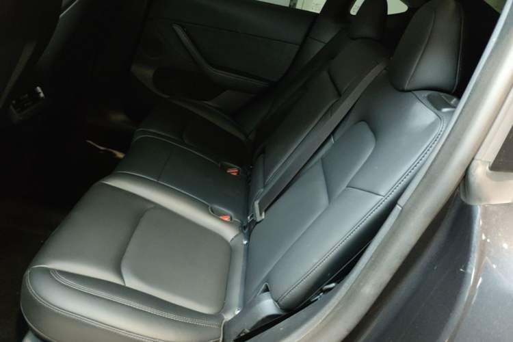 Used Tesla Model Y 2024 Long-Range All-Wheel-Drive Version Left Rear Seat