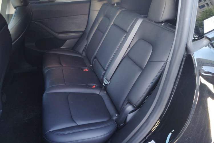 Used Tesla Model Y 2024 Performance High-Performance Edition Left Rear Seat