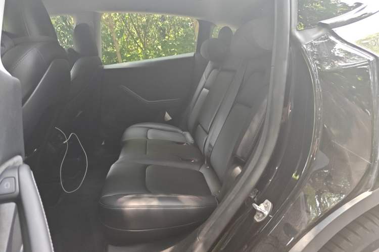Used Tesla Model Y 2024 Rear-Wheel-Drive Version Left Rear Seat
