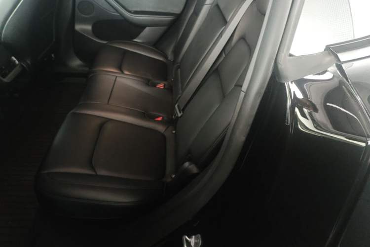 Used Tesla Model Y 2024 Rear-Wheel-Drive Version Left Rear Seat