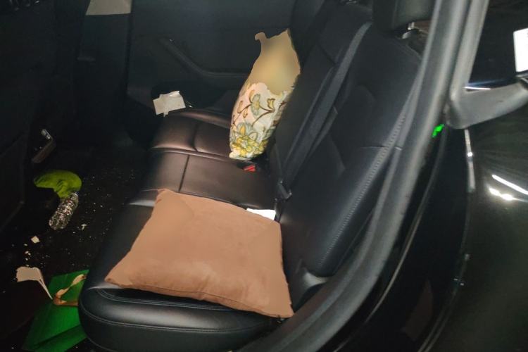 Used Tesla Model Y 2024 Rear-Wheel-Drive Version Left Rear Seat