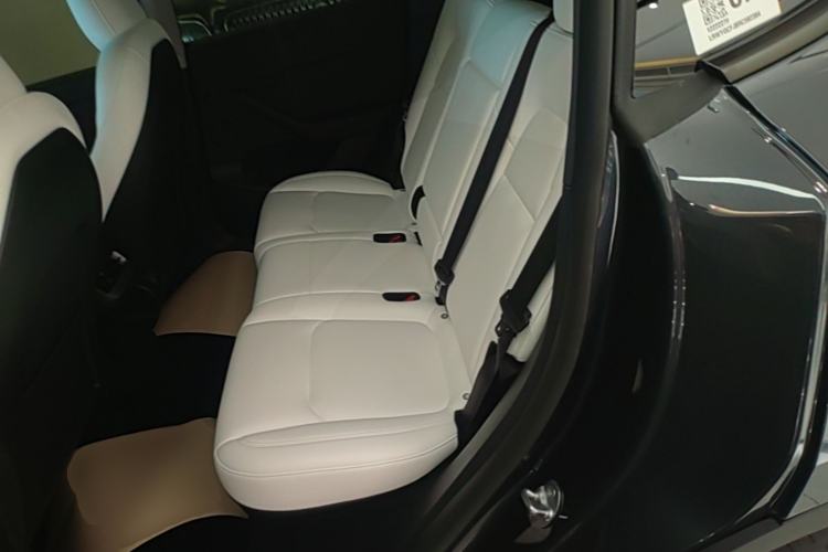 Used Tesla Model Y 2024 Rear-Wheel-Drive Version Left Rear Seat