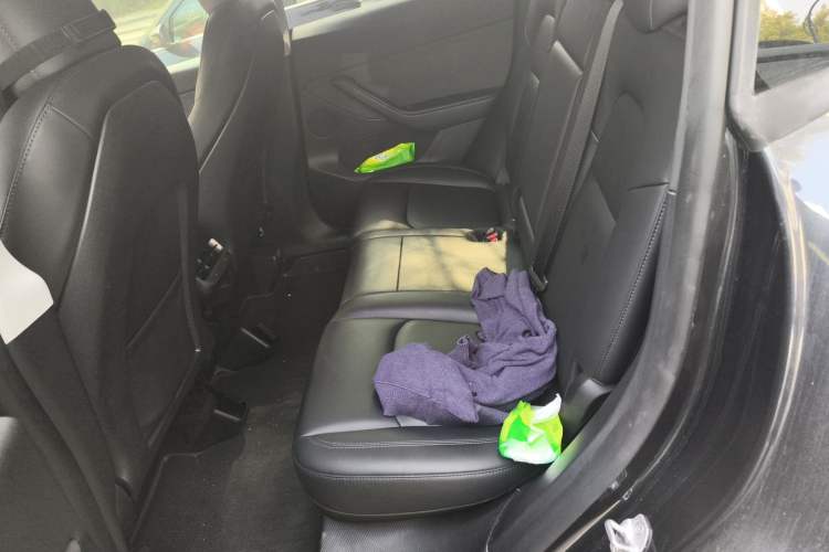 Used Tesla Model Y 2024 Rear-Wheel-Drive Version Left Rear Seat