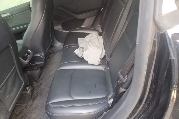 Used Tesla Model Y 2024 Rear-Wheel-Drive Version Left Rear Seat