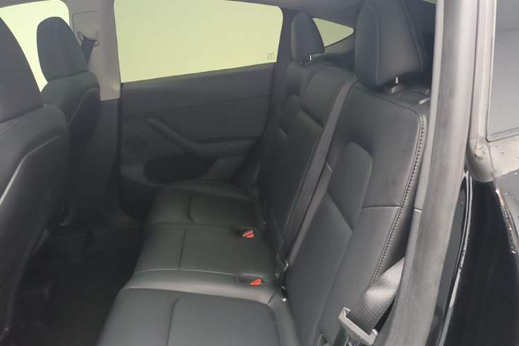 Used Tesla Model Y 2024 Rear-Wheel-Drive Version Left Rear Seat