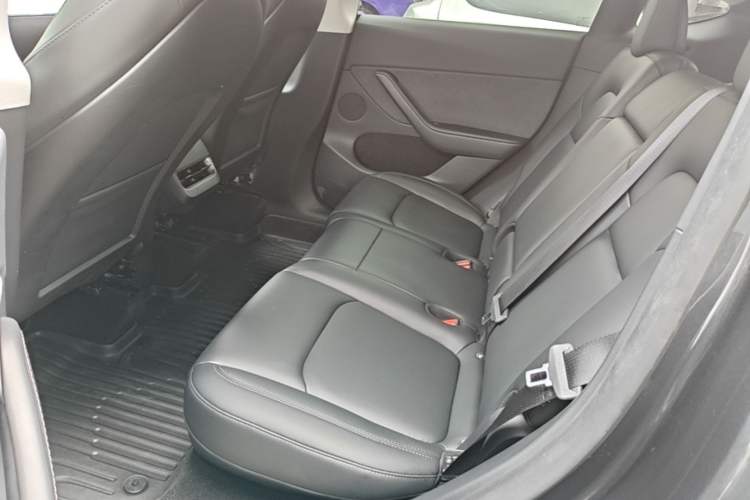 Used Tesla Model Y 2024 Rear-Wheel-Drive Version Left Rear Seat