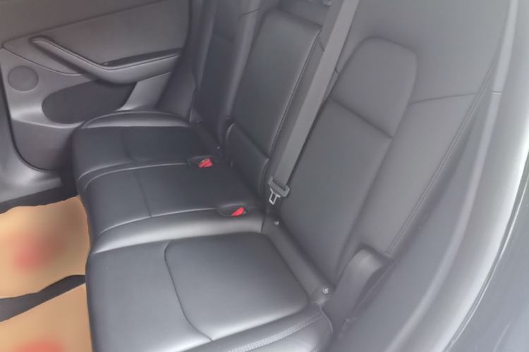 Used Tesla Model Y 2024 Rear-Wheel-Drive Version Left Rear Seat