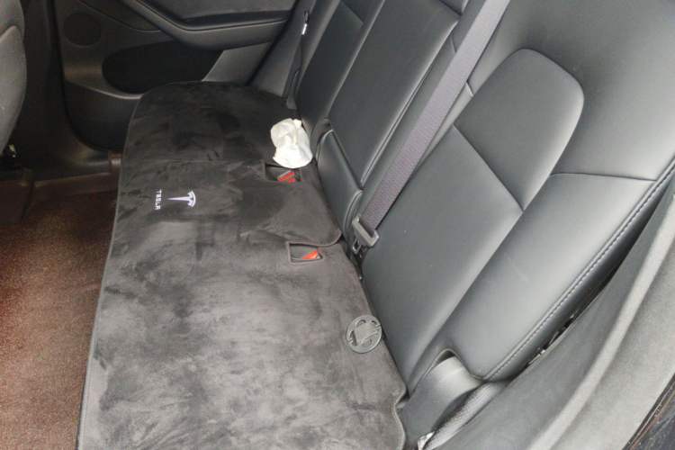 Used Tesla Model Y 2024 Rear-Wheel-Drive Version Left Rear Seat