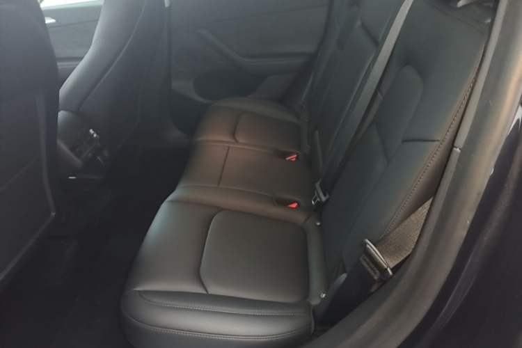 Used Tesla Model Y 2024 Rear-Wheel-Drive Version Left Rear Seat