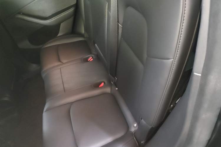 Used Tesla Model Y 2024 Rear-Wheel-Drive Version Left Rear Seat