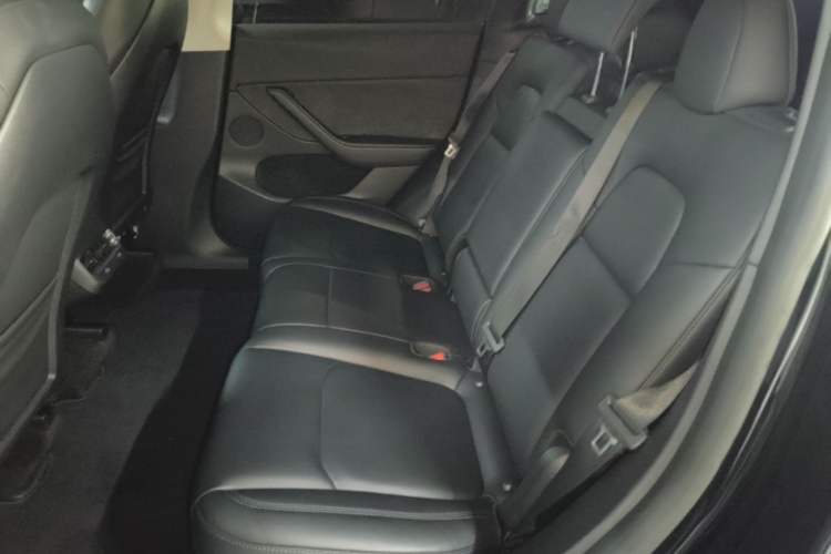 Used Tesla Model Y 2024 Long-Range All-Wheel-Drive Version Left Rear Seat