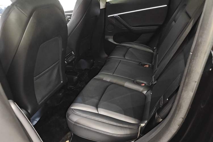 Used Tesla Model Y 2024 Rear-Wheel-Drive Version Left Rear Seat